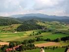 black forest scenery